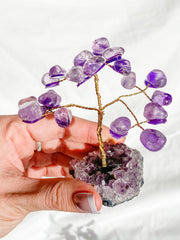 Wire Tree Amethyst on Amethyst Base