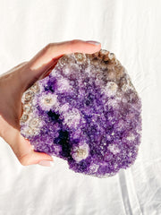Amethyst CutBase Cluster with Druzy 1.3kg