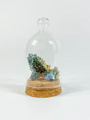 Glass Display Vial