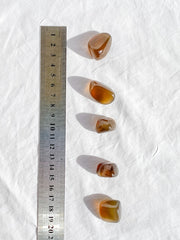 Brown Chalcedony Tumbles | Small