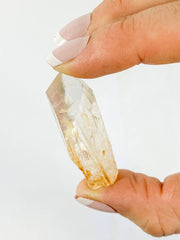 Golden Healer Natural Point 14g