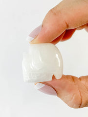 White Aventurine Mini Skull