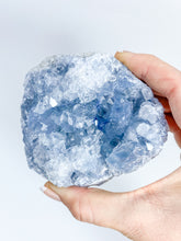 Celestite Cluster 667g