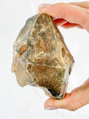 Smoky Quartz with Actinolite Elestial Natural Mineral Specimen 311g