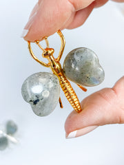 Labradorite Dragonfly Carving | Gold Plated