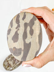 Zebra Stone Scarab Beetle Carving