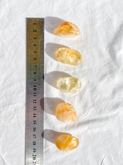 Citrine Baked Tumbles | Medium