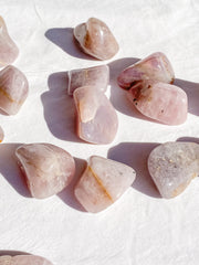 Lavender Tumbles | Large