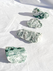 Tree Agate Natural | XX Large