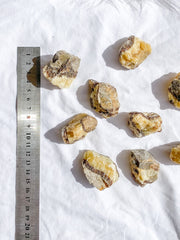 Septarian Natural | Small