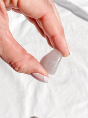 Lavender Tumbles | Mini