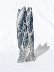 Orthoceras Tower 2.7kg