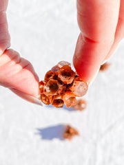 Aragonite Sputnik | Mini