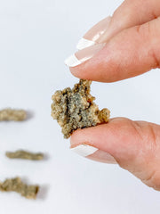 Fulgurite Natural Mineral Specimen | Mini