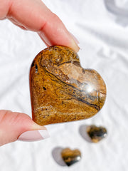 Stromatolite Heart | Medium