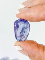 Aura Tanzin Tumbles | Mini