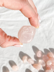 Rose Quartz Tumbles | Medium