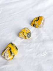 Bumble Bee Jasper Tumbles | Large