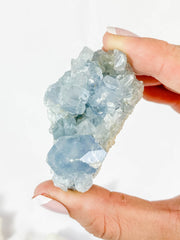 Harmony Duo: Celestite + Glass Apophyllite | Medium