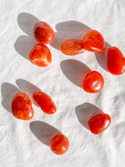 Carnelian Tumbles | Medium