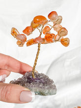 Wire Tree Carnelian on Amethyst Base