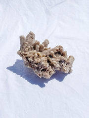 Himalayan Quartz Cluster Double Sided 305g