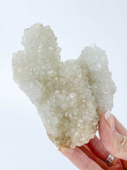 Finger Coral Quartz Cluster 340g