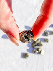 Pyrite Tumbles | Mini