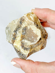 Septarian Naural | X Large
