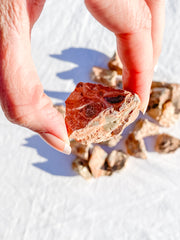 Leopardite Natural | X Small