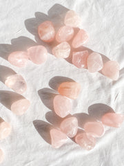 Rose Quartz Tumbles | Medium