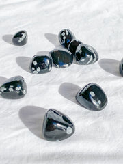 Snowflake Obsidian Tumbles | Small