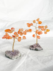 Wire Tree Carnelian on Amethyst Base