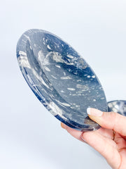 Orthoceras Bowl | XX Large