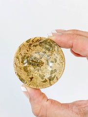 Fossil Coral Bowl | Small