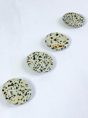 Dalmatian Jasper Worry Stone