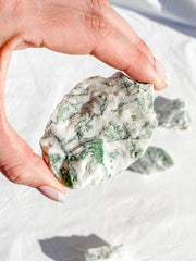Tree Agate Natural | Large