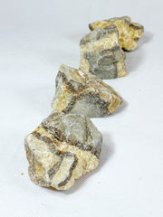 Septarian Natural | Large