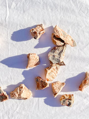 Leopardite Natural | Mini