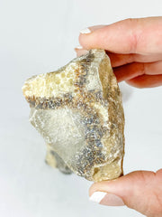 Septarian Natural | Large