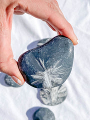 Chrysanthemum Natural Stone | Large