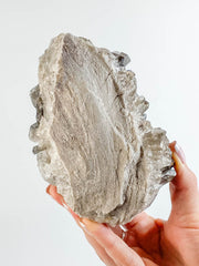 Smoky Quartz Cluster 745g
