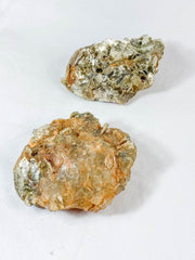 Citrine and Mika Natural | XXX Large