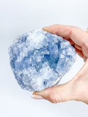 Celestite Cluster 667g