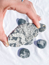 Chrysanthemum Natural Stone | Medium