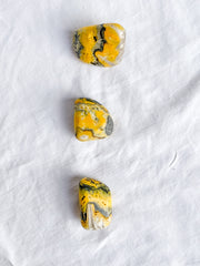 Bumble Bee Jasper Tumbles | Large