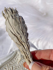 White GrandFather Sage | Small