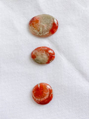 Red Coral | Mini