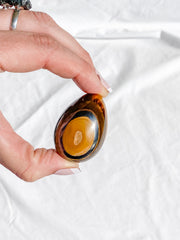 Tiger Eye Egg | Small