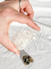 Balance Duo: Clear Quartz + Smoky Quartz | Medium